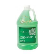 Body Spa  high Hand Soap Aloe-Vera