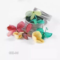Dried Flowers For Nail Art GH06