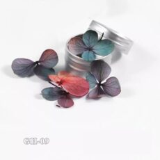 Dried Flowers For Nail Art GH09